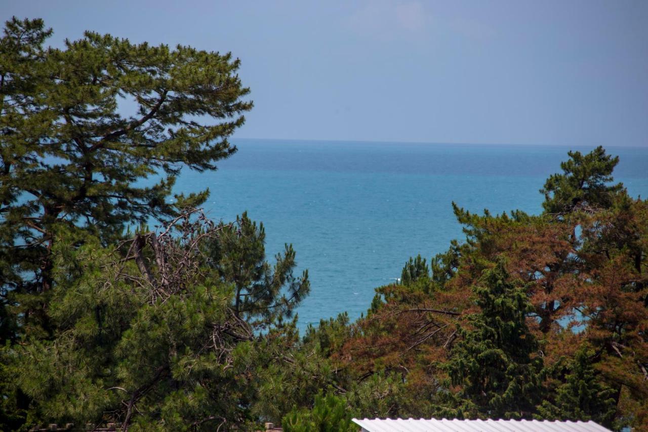 Chveni Ezo Boutique Hotel Kobuleti Eksteriør billede